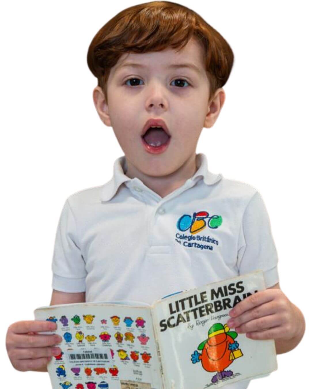 WhatsApp Image 2026-01-15 at 3.17.00 PM